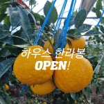 제주그린팜 | 작가 피드