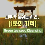 빅토리숲 | 스토리  빅토리숲