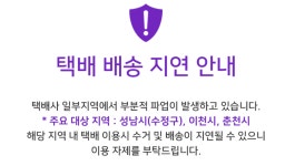 벨아미 | 피드 벨아미