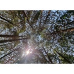 트레이형 에그홀더 | 아이디어스 트레이형 에그홀더