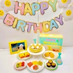 강아지케이크 생일상12종 풀패키지 케이크 간식 용품세트 | 아이디어스 강아지케이크 생일상12종 풀패키지 케이크 간식 용품세트