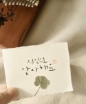 압화 손글씨 수제카드(말씀,축하, 감사,응원) | 아이디어스 압화 손글씨 수제카드(말씀,축하, 감사,응원)
