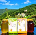 지리산 고지대 직접키워 저온농축 고품질 벌꿀 2.4kg [원산지:작품정보참조] | 아이디어스 지리산 고지대 직접키워 저온농축 고품질 벌꿀 2.4kg... 