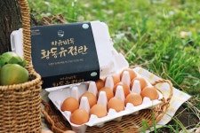 🐔상위 1% 난각 1번🐣유황먹인 자유방목유정란30구 | 아이디어스 🐔상위 1% 난각 1번🐣유황먹인 자유방목유정란30구