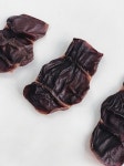 [쫄깃쫄깃 오래 먹는 간식] 오리 근위 50g/100g | 아이디어스 [쫄깃쫄깃 오래 먹는 간식] 오리 근위 50g/100g