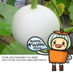 팜앤팜농장 박태우 | 스토리  팜앤팜농장 박태우