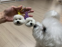 더니들룸302 | 스토리  더니들룸302