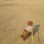 멍플랙스 | 작가 피드 멍플랙스