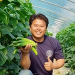 100% 신선도 보장🥒 당일수확 양주 백다다기 오이 [원산지:작품정보참조] | 아이디어스 100% 신선도 보장🥒 당일수확 양주 백다다기 오이... 