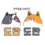 도란도란 펫푸드 | 구매후기 도란도란 펫푸드