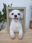 양모펠트 반려동물 강아지 상반신 액자 4x6 | 아이디어스 양모펠트 반려동물 강아지 상반신 액자 4x6
