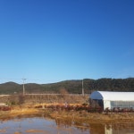 순창 가이아농장(농부 김기열/전명란) | 스토리  순창 가이아농장(농부 김기열/전명란)