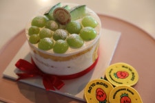 크리스마스케이크 만들기 키트 | 아이디어스 크리스마스케이크 만들기 키트