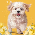 [입점할인]🐶반려동물 그림 일러스트 초상화 드로잉 | 아이디어스 [입점할인]🐶반려동물 그림 일러스트 초상화 드로잉