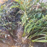 순창 가이아농장(농부 김기열/전명란) | 작가 피드