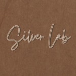 실버랩 (silver lab) | 작가 피드 실버랩 (silver lab)