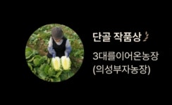 3대를이어온농장(의성부자농장) | 피드 3대를이어온농장(의성부자농장)