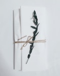 SAEHA:MANO(새하마노) | 스토리  SAEHA:MANO(새하마노)