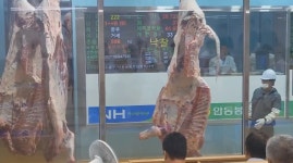 우리는 정육가든 작가 피드 | 아이디어스