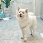 개네집 곳간 | 작가 피드