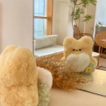 몽몽샵 | 작가 피드