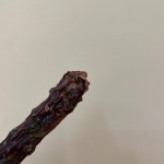 오리목뼈 오래먹는 강아지 수제간식 | 아이디어스 - 핸드메이드, 수공예, 수제 먹거리 오리목뼈 오래먹는 강아지 수제간식