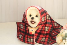 마이몽 | 구매후기 마이몽