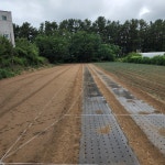 울진 영앤팜 | 피드 울진 영앤팜