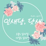 잎새달닷새 | 프로필 잎새달닷새