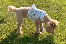 로힌 ROHIN | 클래스 로힌 ROHIN