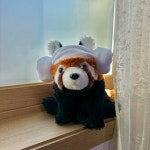 강아지&고양이 모자🐏찜질방의 냥머리와 멍머리🐏 | 아이디어스 강아지&고양이 모자🐏찜질방의 냥머리와 멍머리🐏