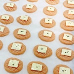 펫푸드스토리 | 작가 피드