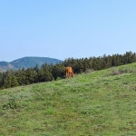 ROMIRR(로미르) | 작가 피드 ROMIRR(로미르)