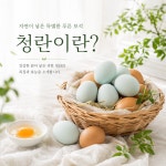 이노바이오팜 작가 피드 | 아이디어스