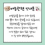 멍냥이수라간 | 작가 피드 멍냥이수라간