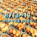 청춘제과 | 스토리  청춘제과