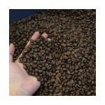 헤이메르 로스터스 | 작가 피드