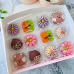 [주문마감]🍁가을느낌 물씬 수제고급화과자 | 아이디어스 [주문마감]🍁가을느낌 물씬 수제고급화과자