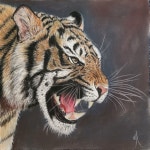 🐯부귀와 행운을 부르는 유니크&감각적인 호랑이그림 | 아이디어스 🐯부귀와 행운을 부르는 유니크&감각적인 호랑이그림