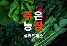 샐러드채소 주은농장 | 작가 피드