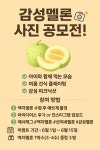 선이네멜론 | 작가 피드