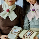 고양이가 노는 정원 | 작가 피드