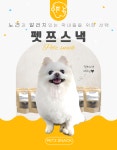 펫쯔스낵 | 작가 피드