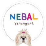 ⭐️여름특가상품⭐️스타 나시티셔츠⭐️ | 아이디어스 ⭐️여름특가상품⭐️스타 나시티셔츠⭐️