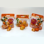 제주 제철과일 3종 모음 1KG 지퍼팩 포장 [원산지:작품정보참조] | 아이디어스 제주 제철과일 3종 모음 1KG 지퍼팩 포장 [원산지:작품정보참조]