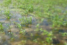 순창 가이아농장(농부 김기열/전명란) | 작가 피드