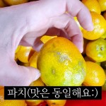 올바른로컬푸드 | 작가 피드 올바른로컬푸드