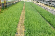 김학경(푸른농장) | 클래스 김학경(푸른농장)