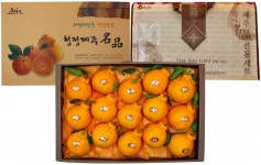 석희농장 | 작가 피드 석희농장