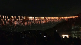 라니네농장 | 작가 피드